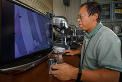 Guangping Xu employs a digital optical microscope 