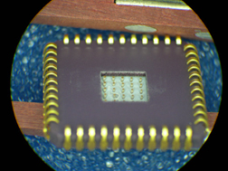 Closeup of Microneedle