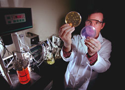 Sandia decon formulation, best known as an anthrax killer, takes on  household mold - April 26, 2007