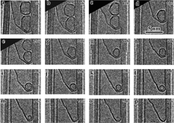 Atomic images of the inside of a nanotube show the formation of fullerenes, their reduction to  C-60 buckyballs, and their dispersion when heated beyond that point. The images were taken by a transmission electron microscope.