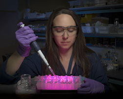 Sandia researcher Amy Herr prepares human saliva samples for analysis that will be conducted using Sandia’s lab-on-a-chip clinical diagnostic instruments
