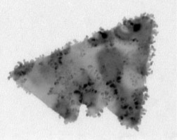 Single gold nanoparticle crystals formed using radiolysis at Sandia’s Gamma Irradiation Facility (approximately 30 nm in size).
