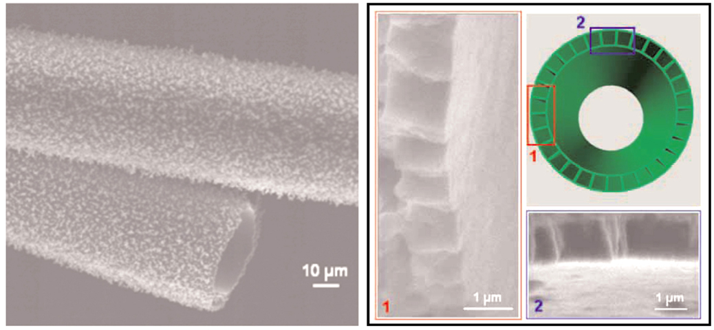 Jumbo nanotube