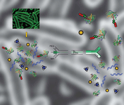 Lab on a Chip: Miniaturisation for chemistry, biology & bioengineering