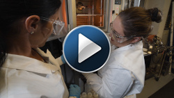Two women in lab gear look at a piece of metal. Play button on top